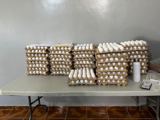 crates of eggs ready for distribution